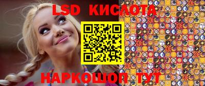 гашик Можга