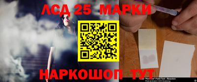 гашик Можга