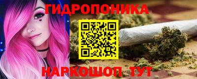 гашик Можга