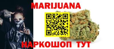 гашик Можга