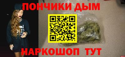 гашик Можга