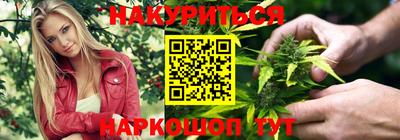 гашик Можга