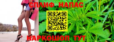 гашик Можга