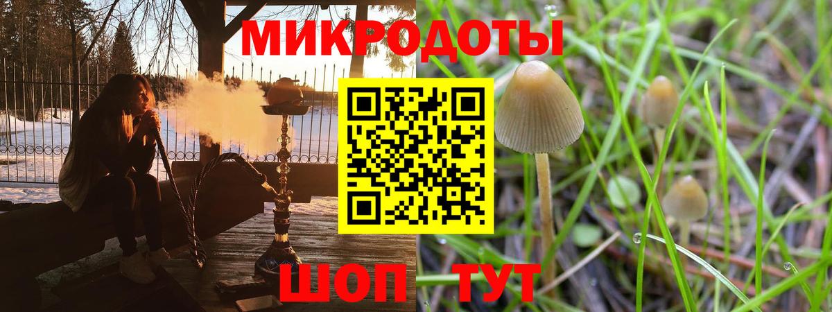 Галлюциногенные грибы прущие грибы  Галлюциногенные грибы прущие грибы  Сухой Лог  Вход с VPN 